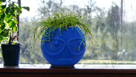 Suspicious Dude Face Planter - Funny Emoji-Inspired Plant Decor for Home & Garden