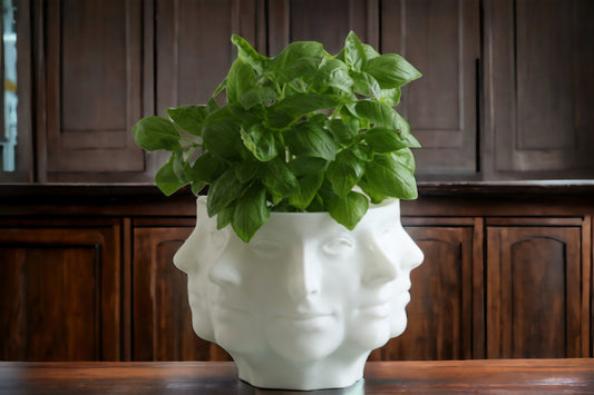 Multi-Face Polyface Planter: Unique 3D-Printed Planter with Drainage, Perfect for Indoor Greenery Decor