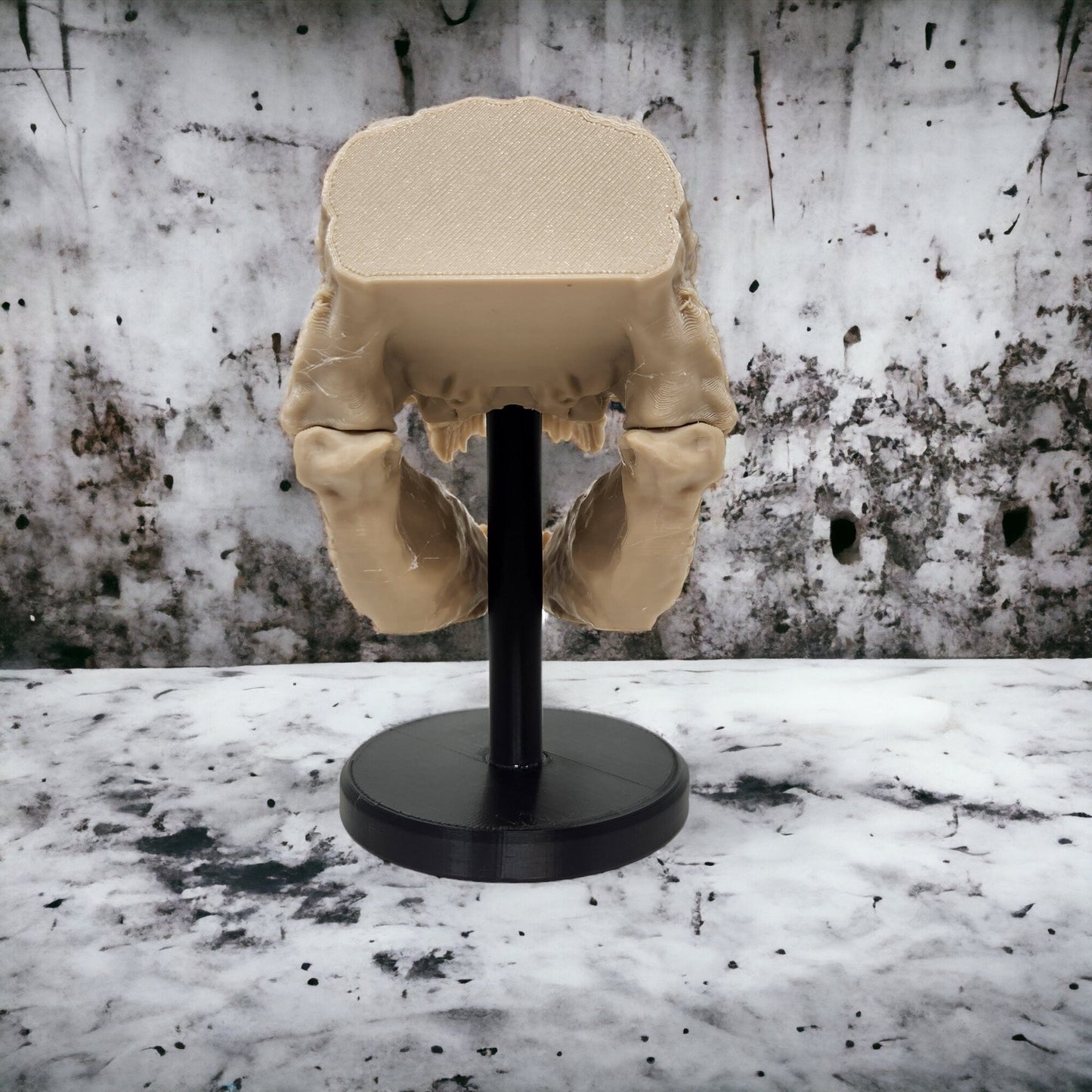 3D Printed Tyrannosaurus Rex Dinosaur Skull Replica - Prehistoric Decor, Unique Gift, Home Display