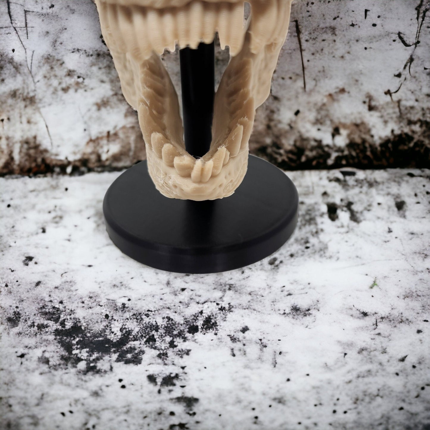 3D Printed Tyrannosaurus Rex Dinosaur Skull Replica - Prehistoric Decor, Unique Gift, Home Display