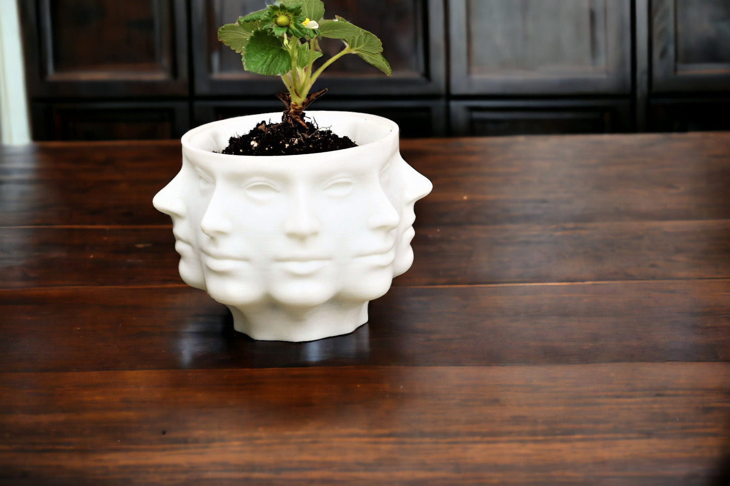 Multi-Face Polyface Planter: Unique 3D-Printed Planter with Drainage, Perfect for Indoor Greenery Decor
