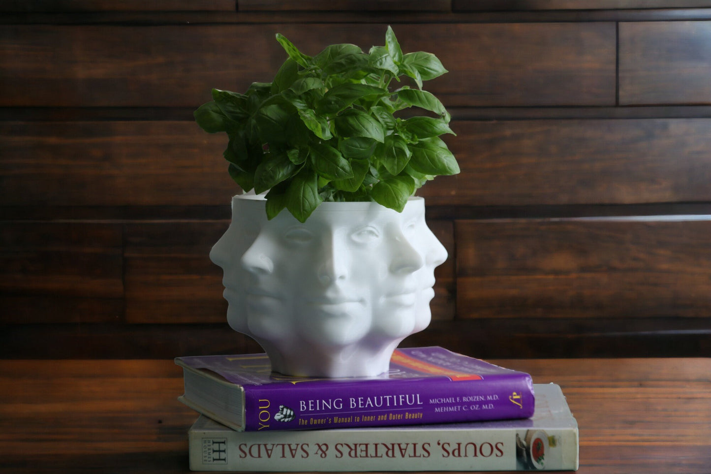 Multi-Face Polyface Planter: Unique 3D-Printed Planter with Drainage, Perfect for Indoor Greenery Decor