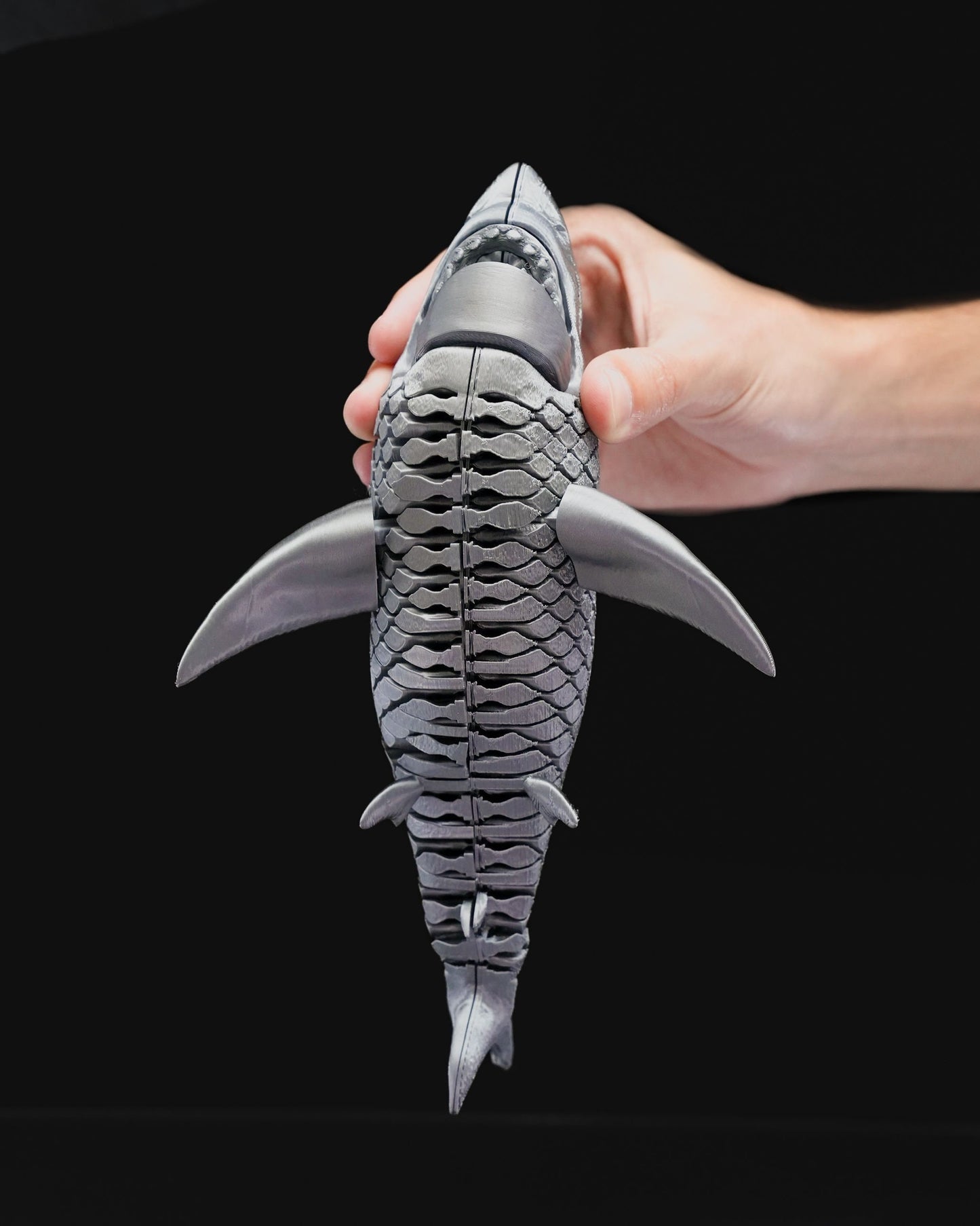 Great White Fish Articulated Fidget Toy - Ocean Desk Articulating Unique 3D Printed  Toy - Colorful Educational Play Gift