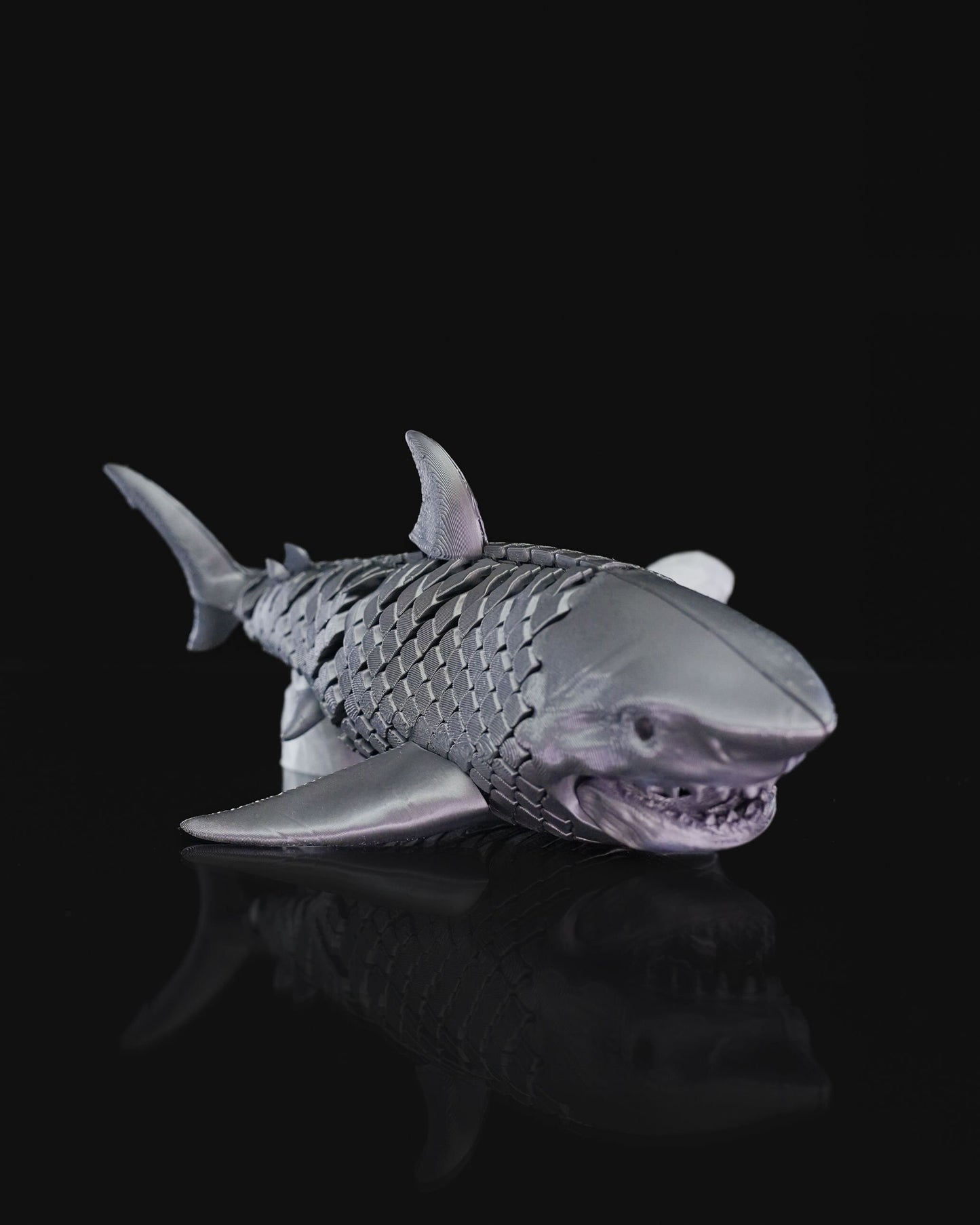 Great White Fish Articulated Fidget Toy - Ocean Desk Articulating Unique 3D Printed  Toy - Colorful Educational Play Gift