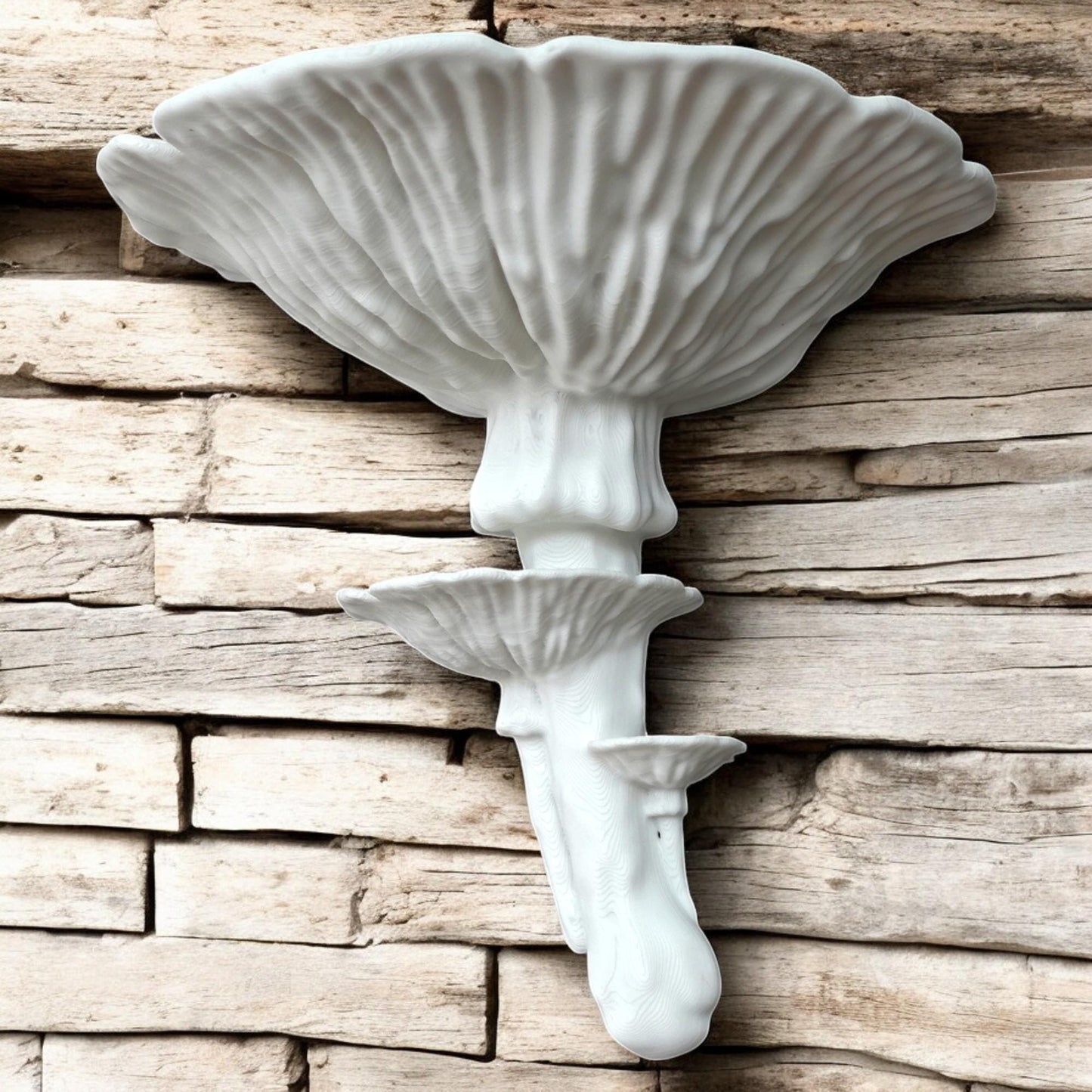 Amanita Caesarea Mushroom Shelf – Organic Wall Décor for Plants & Collectibles – Unique 3D Printed Eco-Friendly Display