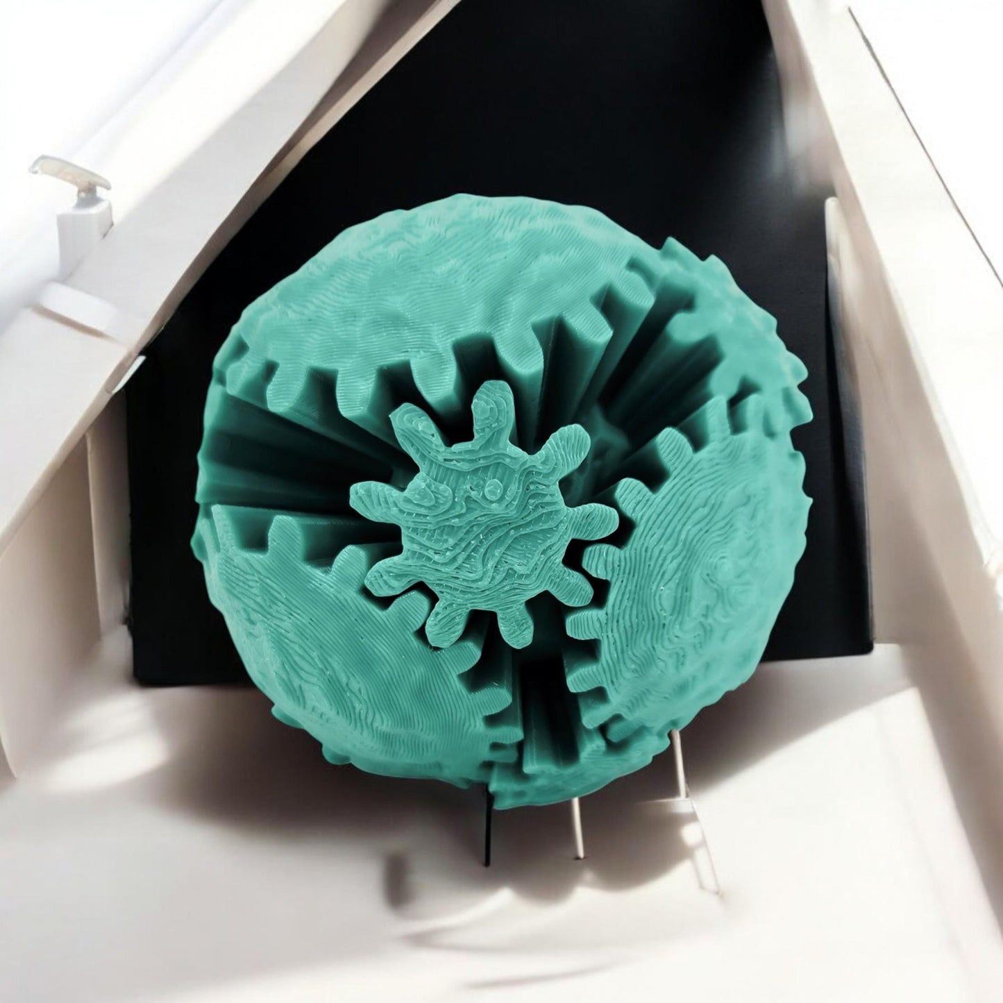 Avocado Fidget Toy | Stress Relief & Sensory Play | Cute Anxiety Relief Gift | Eco-Friendly Stress Ball for Kids and Adults