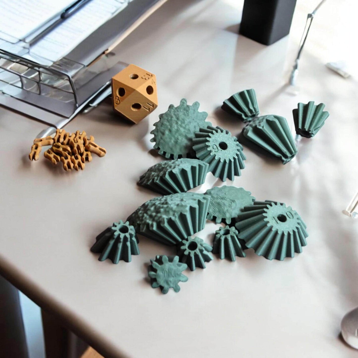 Avocado Fidget Toy | Stress Relief & Sensory Play | Cute Anxiety Relief Gift | Eco-Friendly Stress Ball for Kids and Adults